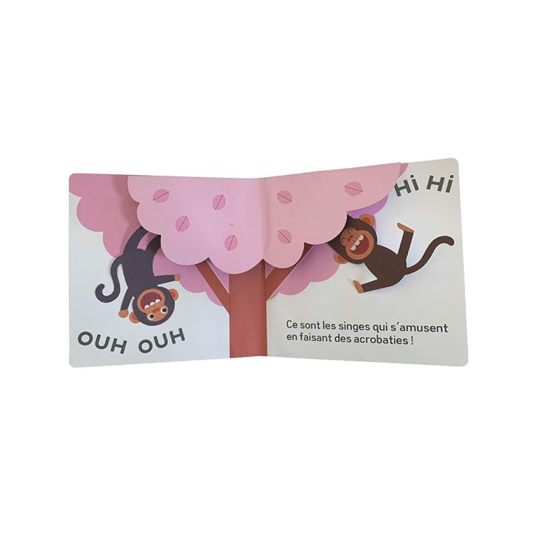 Qui Fait Ce Bruit - Pop Up Book