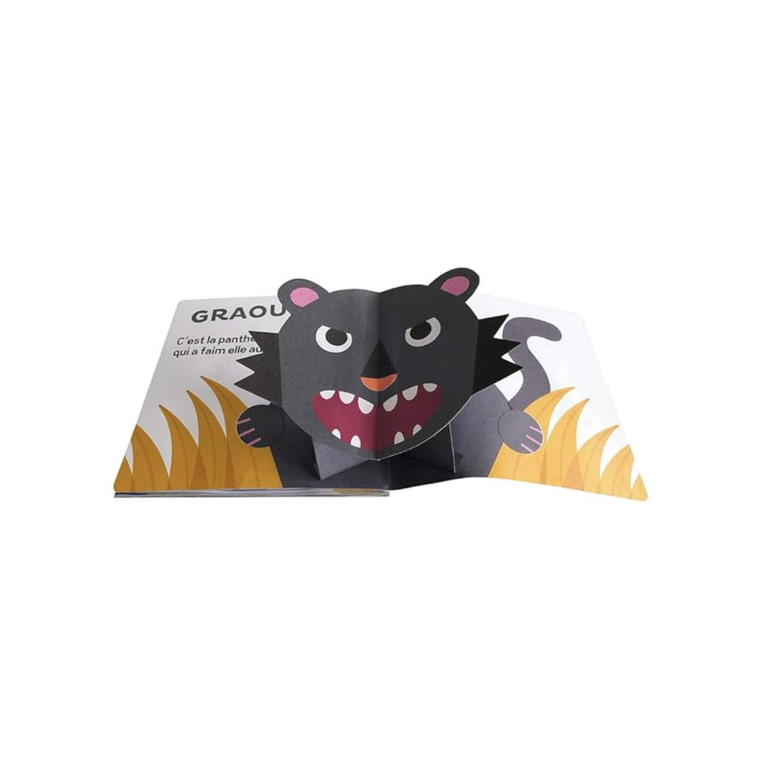 Qui Fait Ce Bruit - Pop Up Book