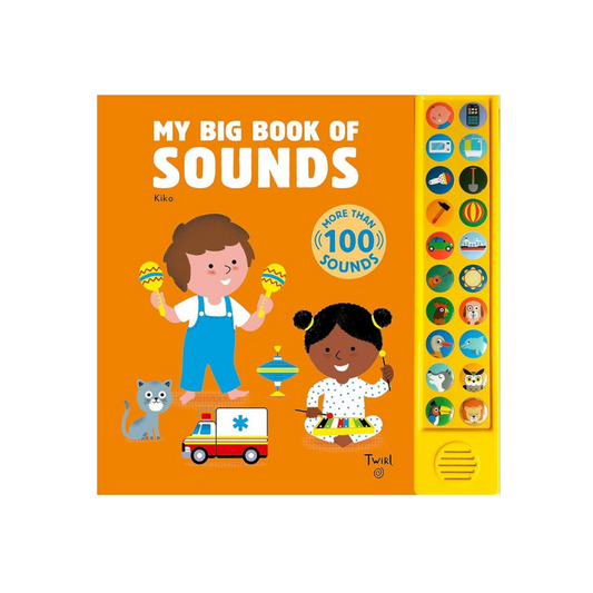 My Big Book Of Sounds