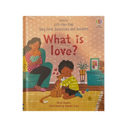 Usborne What Is Love