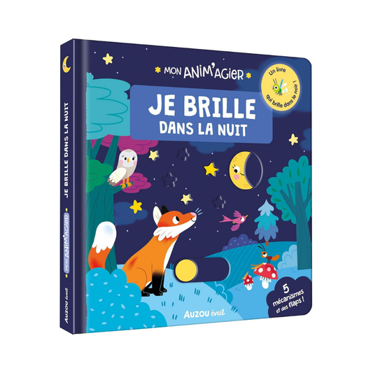 Je Brille Dans La Nuit
