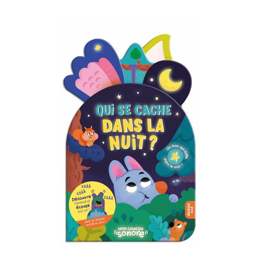 Qui Se Cache Dans La Nuit ?